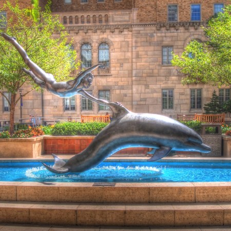 dolphin boy statue