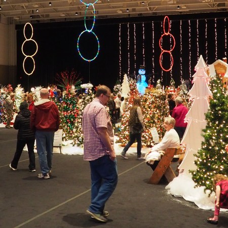 festival of trees