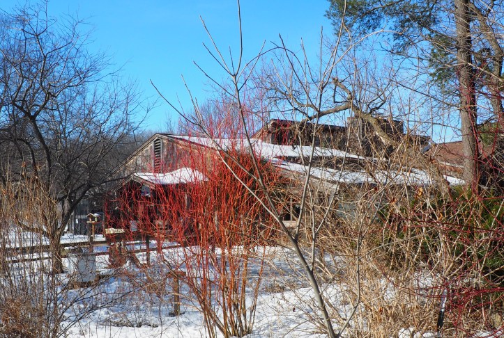 quarry hill nature center