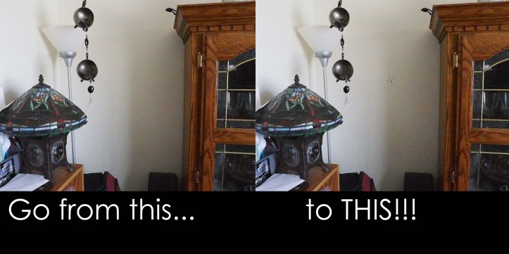 rice grain photography