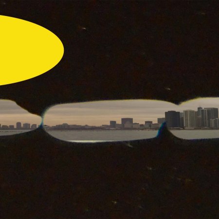 rice grain photography