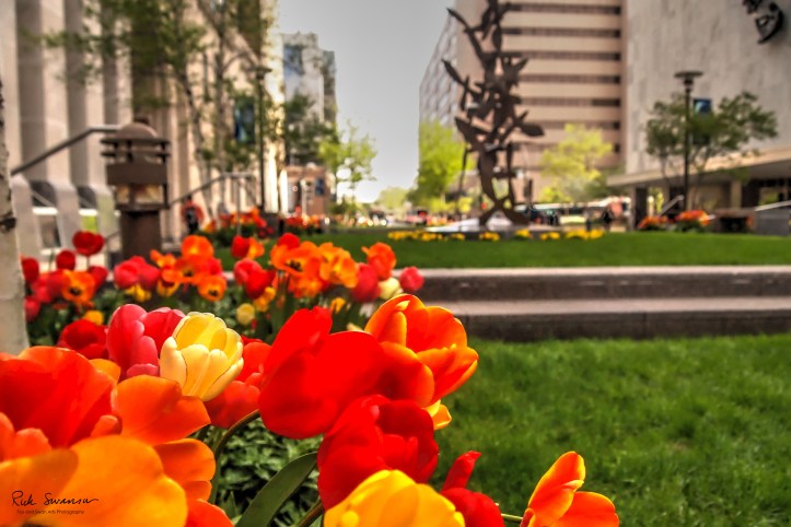 Sharp foreground, blurry background