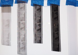 Film Negative Comparison