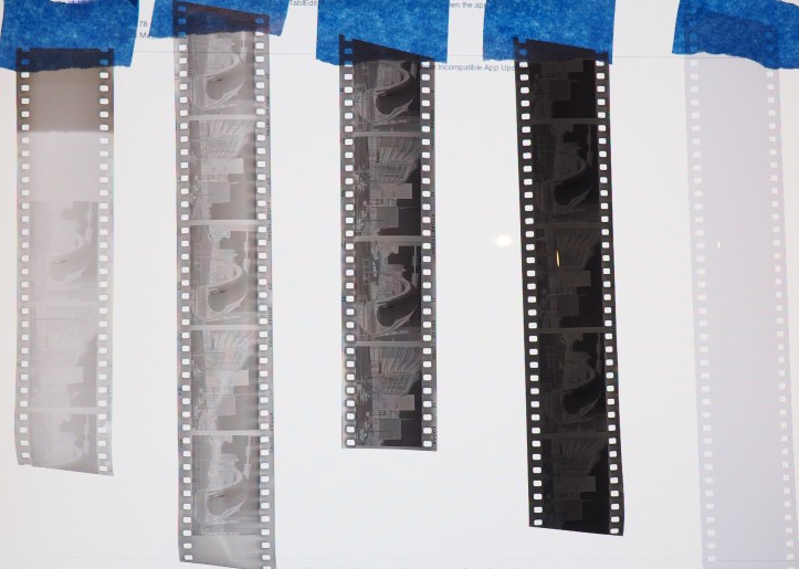 Film Negative Comparison