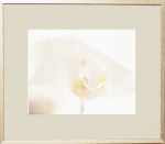 Framed Office Art Sample