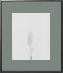 Framed Office Art Sample