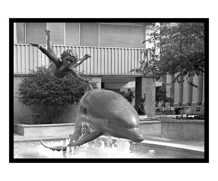 Rochester's Newest Geodesic