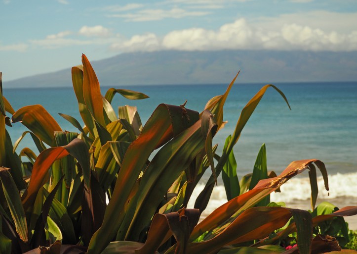 Foreground sharp, background blurry